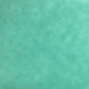 Meet your Posher, Julio